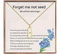 Haoze Miscarriage Gifts for Mothers Forget Me Not Seed Necklace Loss Grief Sympathy Gift Child Loss Memorial Gifts Jewelry, Metal, stainless steel
