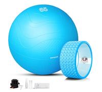 HAPBEAR Exercise Ball 65cm and Yoga Wheel Set, Yoga Ball for Core Training