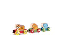 Hape Jungle Train Journey