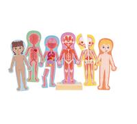 Hape Magnetic Of The Human Body Puzzle