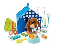 Hape Pet Care Vet Playset