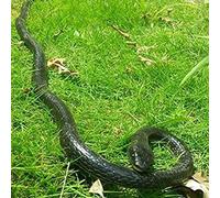 Hapihom Fake Realistic Snake Lifelike Real Scary Rubber Toy Prank Party Joke Halloween