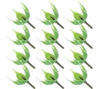 HAPINARY 100pcs Soap Flower Holder Plastic Flower Sepals Artificial Green Leaves Receptacle s Calyx Floral Bouquet Calyx Calyxes Rose Calyxes Diy s Decorations Dedicated