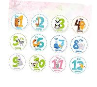 HAPINARY 12 Pieces Month Sticker Boy Girl Photo Sticker for Nursery Decorations for Shower Decorations