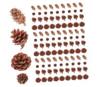 HAPINARY 150pcs Natural Pine Cones and Acorns for DIY Craft Projects Sustainable Pinecones Bulk for Autumn and Holiday Vase Fillers Rustic Pine Cones Decoration for Thanksgiving and