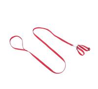 HAPINARY 1pc Lizard Leash for Pets Lightweight Pet Tow Rope for Hamsters Turtles Lizards Convenient for Outdoor Activities Hiking