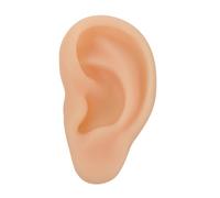 HAPINARY 1pc Realistic Silicone Ear Model for Educational Display Human Ear Anatomy Simulation Flexible Presentation Tool for Learning about Structure