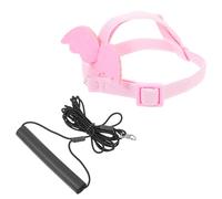 HAPINARY 1set Parrot Flying Leash for Outdoor Bird Training and Elastic Rope for and Enjoyable Your Pet Bird