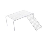 HAPINARY 1set Stainless Steel Chicken Rack Climbing Ladder Enrichment Toy for Animals Promotes Exercise and Coordination Chicken and Cages