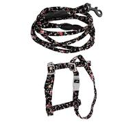 HAPINARY 2 Sets Outdoor Cat Leash Kitten Lead and Harness Set Adjustable Cat Harness Walking Pet Leash Japanese Style