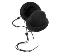 HAPINARY 2pcs Pet Hat for Dogs and Cats Decorative Accessories for Parties Outdoor Events and Photos Lightweight and Easy to Wear Cat Hat