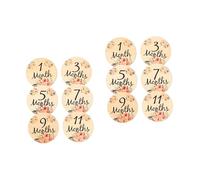 HAPINARY 2sets Wooden Monthly Milestone Discs Double-Sided Baby Milestone Blocks for Cards 6pcs*2