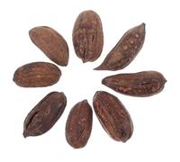 HAPINARY 8pcs Natural Dried Fruit Parrot Foraging Chewing Toys Healthy Accessories for Budgie Parakeets Pet Bird Cage Enrichment Fun Chew Toys for Mental