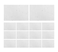 HAPINARY Chinese Calligraphy Paper 40Pcs Rice Paper with Pressed Flowers for Brush Painting and Decorative Craft Projects