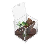 HAPINARY Escapeproof Acrylic Spider Pet Box for Jumping Spiders, Small Terrarium Enclosure with Easy Care and Observation Features, for Home Use