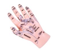 HAPINARY Hand Reflexology Display Model and Acupressure Training Tool for Tcm, Human Hand Simulation Model for Massage Therapy and Reflexology Learning in Clinics and Schools