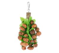 HAPINARY Parrot Chew Toy Nut Bite Stick with Natural Nuts 200g Hanging Bird Cage Toy for Pet Parrots and Small Birds