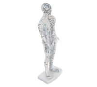 HAPINARY Traditional Chinese Medicine Meridian Model Acupuncture Point Location Instructions Acupoint Body Model Acupuncture Doll Human Body White