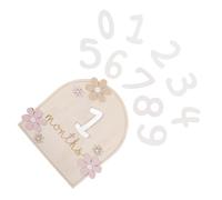 HAPINARY Wooden Monthly Achievement Cards for Boy Birth Month Announcement Discs Newborn Photo Prop Monthly Markers