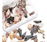 Hapivida Mixed Sea Shells, Tiny Sea Shells Natural Mixed Ocean Beach Spiral Seashells for Candle Making, Home Decor, Wedding Decor, DIY Crafts, Fish Tank and Vase Fillers