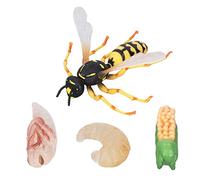 Hapivida Wasp Bee Growth Cycle Model, Lifelike Simulation Insect Figures, Educational Animal Growth Cycle Toy, Premium Plastic Insect Model, Multipurpose Decoration for Kids Cognitive Play