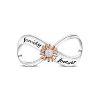 Hapour Infinity Charms fits for Pandora Charms Bracelets 925 Sterling Silver Eternal Charm Family Forever Mother's Day Jewelry Gift for Women