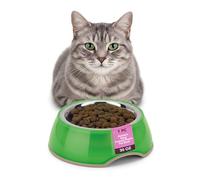 Happinesque Stainless Steel Dog Bowls | Cat Bowls with Pellucid Transparent Plastic (1Pc) - Non Tip Anti Skid Large Dog Water Bowl | Cat Water Bowl - Dishwasher Safe - 30oz / 900ml - 16.5 cm (Green)