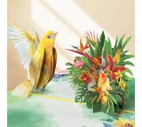 Happique Yellow Hummingbird Pop Up Birthday Cards for Women, 3D Flowers and Bird Birthday Cards for Female, Pop Up Flower Gift Greeting Cards for Daughter, Mum, Wife, Sister, Granddaughter, Teacher
