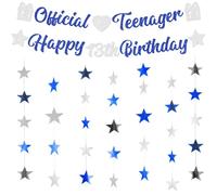 Happy 13th Birthday Decorations Set - Blue and Silver Official Teenager Banner Glitter Star Garland Hanging Streamer Bunting, Girls Boys 13 Years Old Birthday Party Backdrop Decoration
