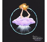 Happy Accidents - Everything But The Here And Now [VINYL]