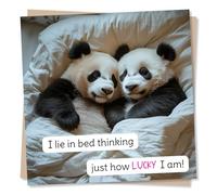 Happy Anniversary Card - Panda or Animal Lovers - Cosy Hugs - I Lie In Bed Thinking Just How Lucky I Am - For A Special Someone, Partner, Husband, Wife, Girlfriend, Boyfriend, Other Half