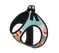 Happy Birthday Big Cake Print Pet Leash Vest,Breathable Mesh Pet Harness, Reflective For Small Medium Dogs Safe Easy Walking