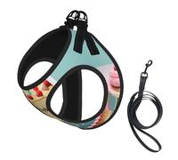Happy Birthday Big Cake Print Pet Leash Vest,Breathable Mesh Pet Harness, Reflective For Small Medium Dogs Safe Easy Walking