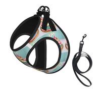 Happy Birthday Big Cake Print Reflective Pet Leash Vest For Small Dogs & Cats, Adjustable Outdoor Walking Hiking Vest