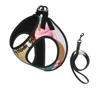 Happy Birthday Big Cake printing Puppy Harness, Dog Harness and Leash Set, Soft Mesh Reflective Breathable Lightweight Vest-Style