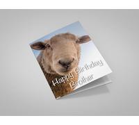 Happy Birthday Brother Funny Sheep Greeting Card 125mm x 178mm Including Envelope ML133