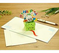 Happy Birthday Bunny Rabbit Surprise Gift Pop Up 3D card. A Delightful surprise birthday greeting card gift for Kids, Children, Daughter, Friend, Granddaughter, Grandson, Son, Sister, Brother