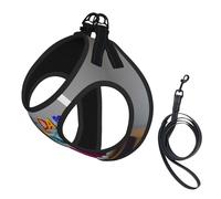 Happy Birthday Cake Print Dog Harness with Leash Set with Thickened Padded Vest for Extra-Small/Small Medium Dogs