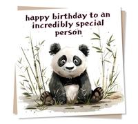 Happy Birthday Card - Cartoon Panda Design - Happy Birthday To An Incredibly Special Person - For Family or Friend
