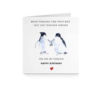 Happy Birthday Card for Him Her - Penguins Find Mate Red Heart For Boyfriend Girlfriend Husband Wife