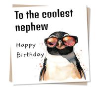 Happy Birthday Card for Nephew with A Cool Penguin Design - The Coolest - from Aunty and Uncle