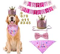 Happy Birthday Dog Party Supplies Kit - Dog Party Hat, Bandana, Bowtie & Happy Birthday Banner Decorations for Small Dogs, Puppy Birthday Outfit Accessories & Pet Birthday Party Decor (Pink 2)