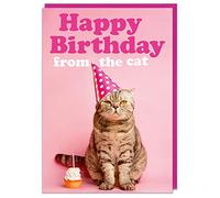 Dean Morris Cards Happy Birthday From the Cat - Funny Birthday Card - Birthday Card for Cat Owner - Humour