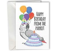 Happy Birthday from the Parrot card A6