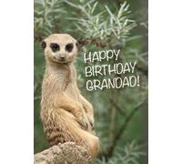 Happy Birthday Grandad Cute Meerkat Card 125mm x 178mm Including Envelope DG134
