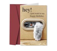 Happy Birthday Greeting Cards For Women Men, Funny Cat Birthday Card, Cute Cartoon Greeting Card With Envelopes, Gifts for Mom Dad Wife Husband Daughter Son Him Her Brother Sister Friend Cat Lover