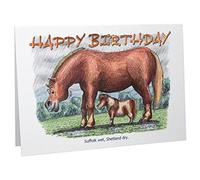 Happy Birthday Horses & Ponies Humour Cartoon A5 Funny Blank Greeting Card by Armand Foster
