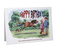 Happy Birthday Horses & Ponies Humour Cartoon A5 Funny Blank Greeting Card by Armand Foster