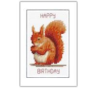 Happy Birthday Red Squirrel Counted Cross Stitch Card Kit A6 14ct Aida