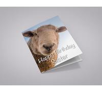 Happy Birthday Sister Cute Sheep Greeting Card 125mm x 178mm ML132
